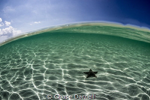 A super clear day at Starfish Point. by Chase Darnell 